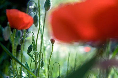 O que realmente importa: workshop