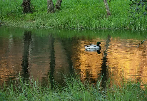 Um dia à beira Lima: workshop