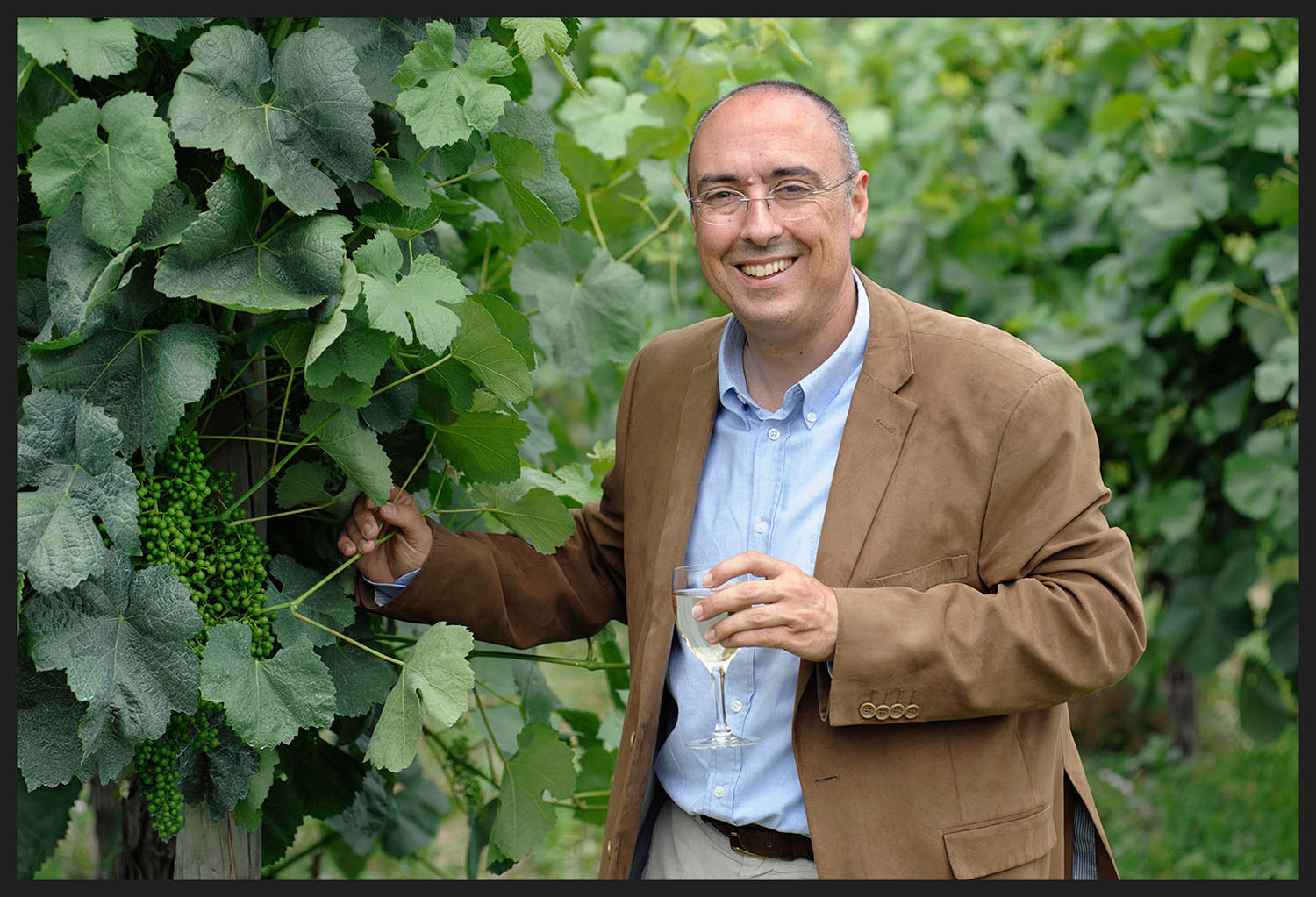 Manuel Pinheiro, promotor da Rota dos Vinhos Verdes, em Arcos de Valdevez.