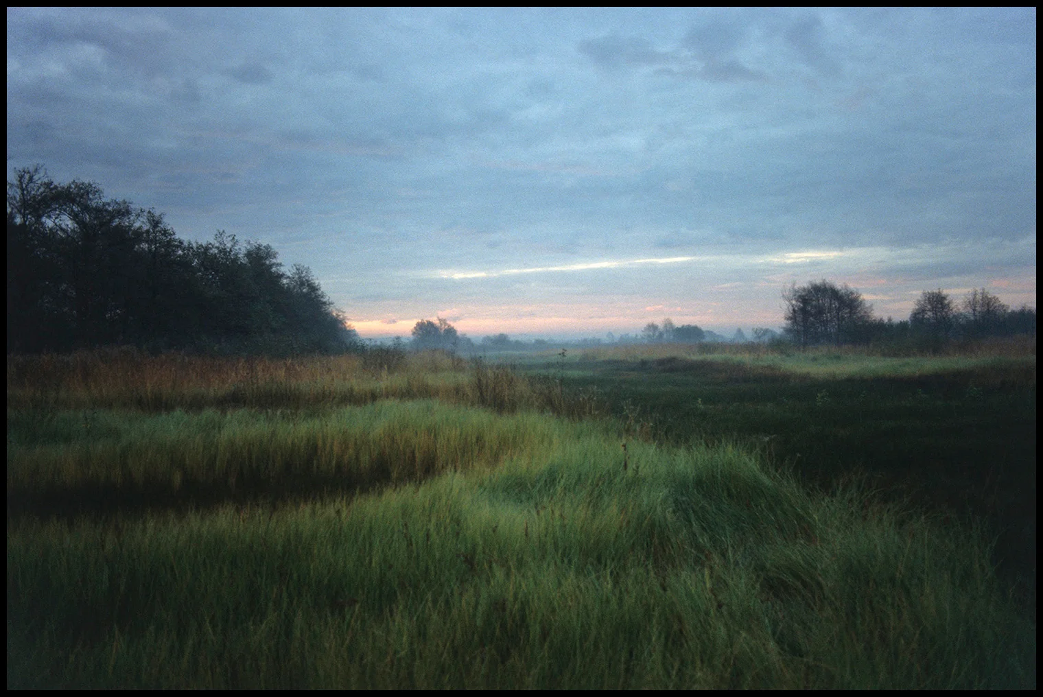 Amanhecer, Salreu. Quando tinha 18 anos e pouco dinheiro no bolso, ponderava longamente antes de fazer uma fotografia. Um dia, ao amanhecer, cheguei a uma dessas boas conclusões e captei uma imagem “especialmente bem desfocada” e com uma enorme vinhetagem. Permanece até hoje uma das minhas preferidas.