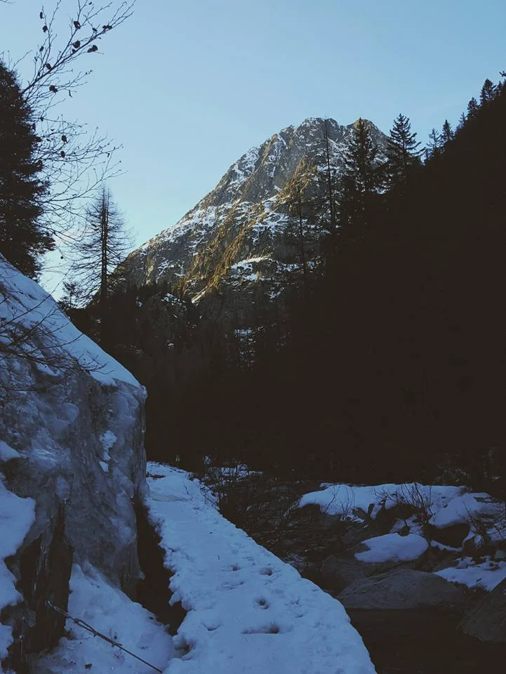 Looking back on the bridge we just crossed with crampons on, looking back at where we had been and ???