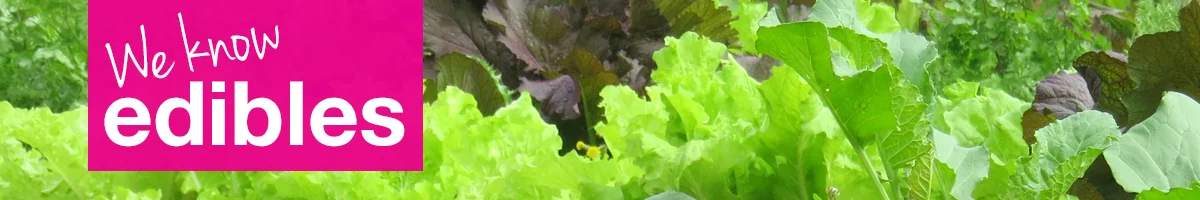 edible-1.jpg