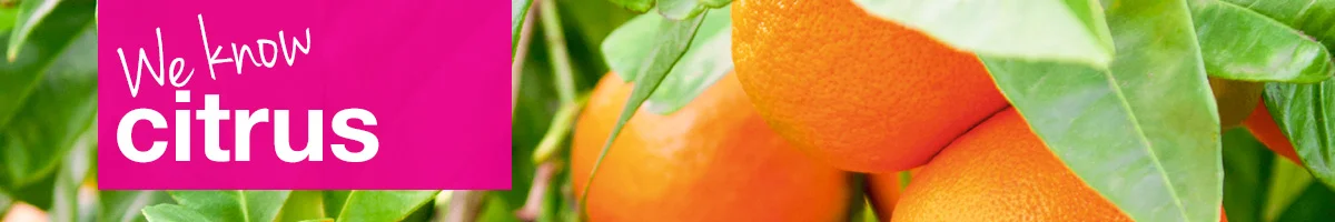small-banner-citrus.jpg
