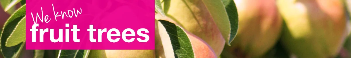small-banner-fruit-trees.jpg