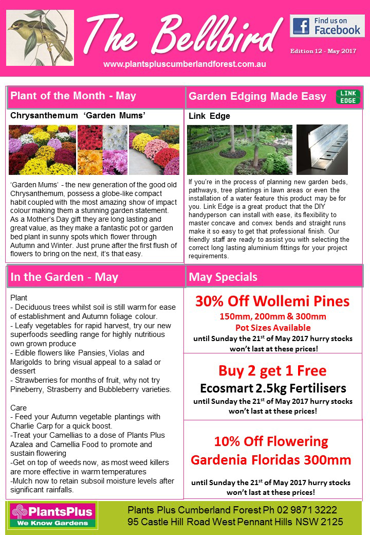 View our latest Newsletter