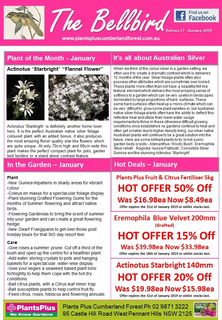View our latest Newsletter