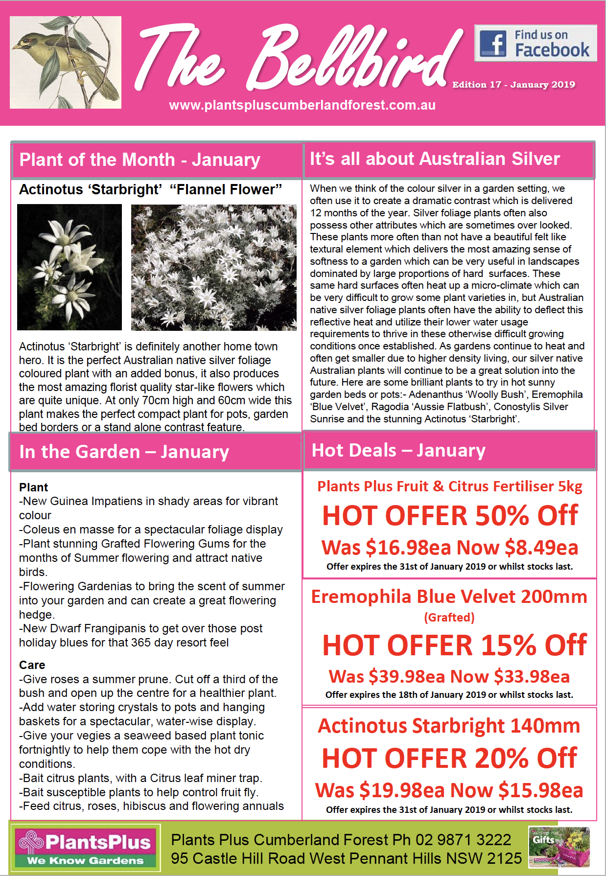 View our Latest Newsletter - February 2019