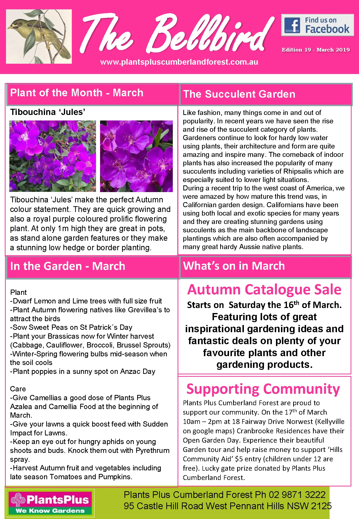 The Bellbird www.plantspluscumberlandforest.com.au