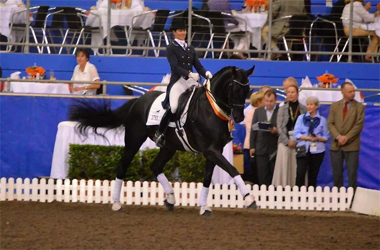Susan Elekessy & Don Rubin - Callum Park Equestrian