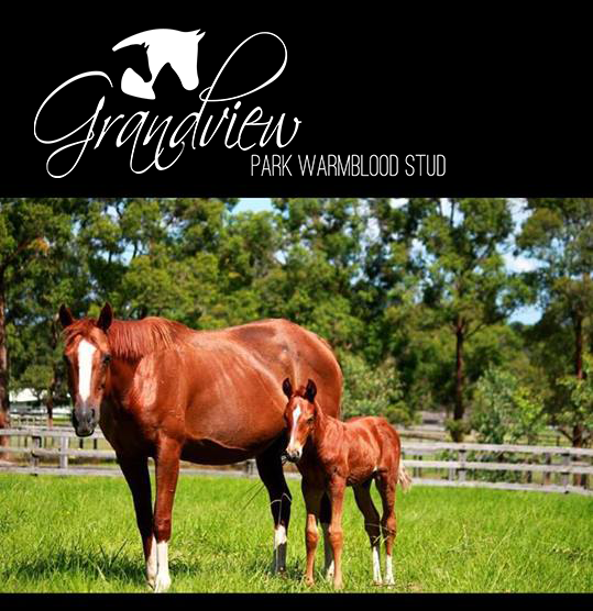 Pictured is another brood mare and her little foal Archie.