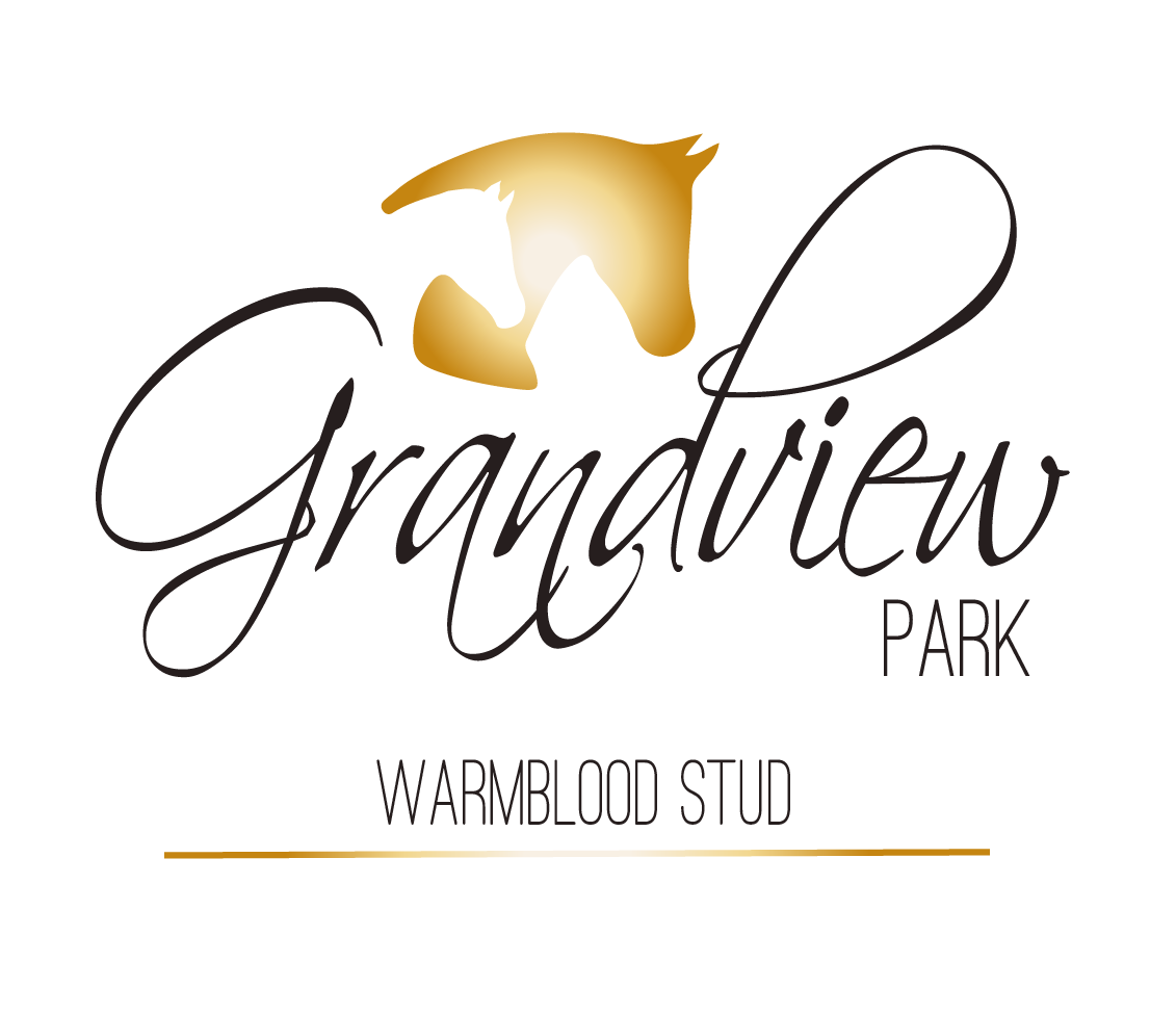 GP-Logo-2-original.png