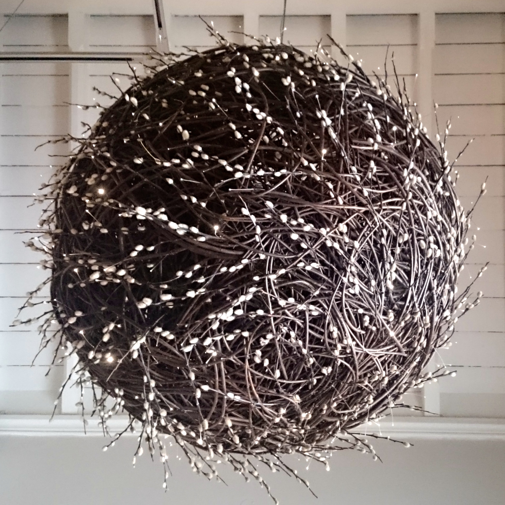 The enchanting Willow Light by Lizzie Farey (always look up)