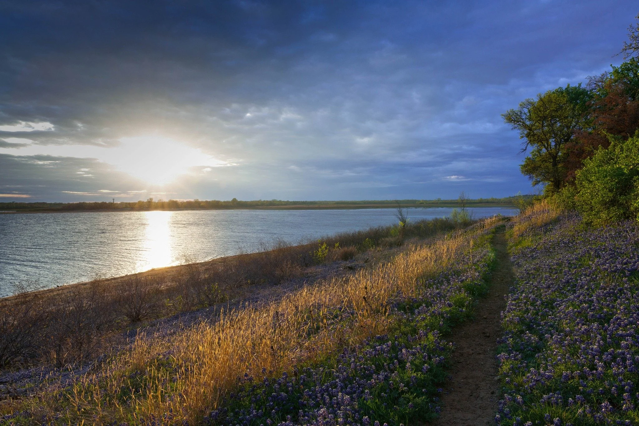 twin-coves-park2.jpg