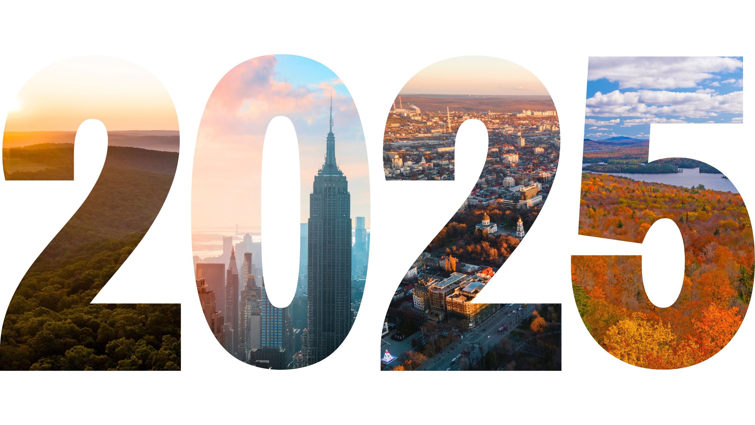 2025 Impact