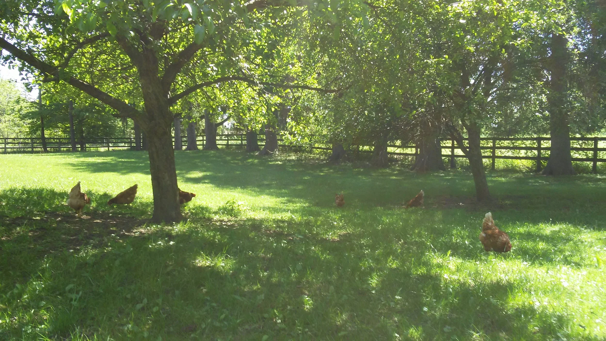 20170607_143908.jpg