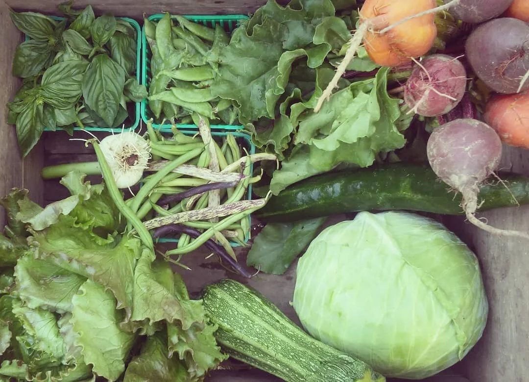 CSA farm share