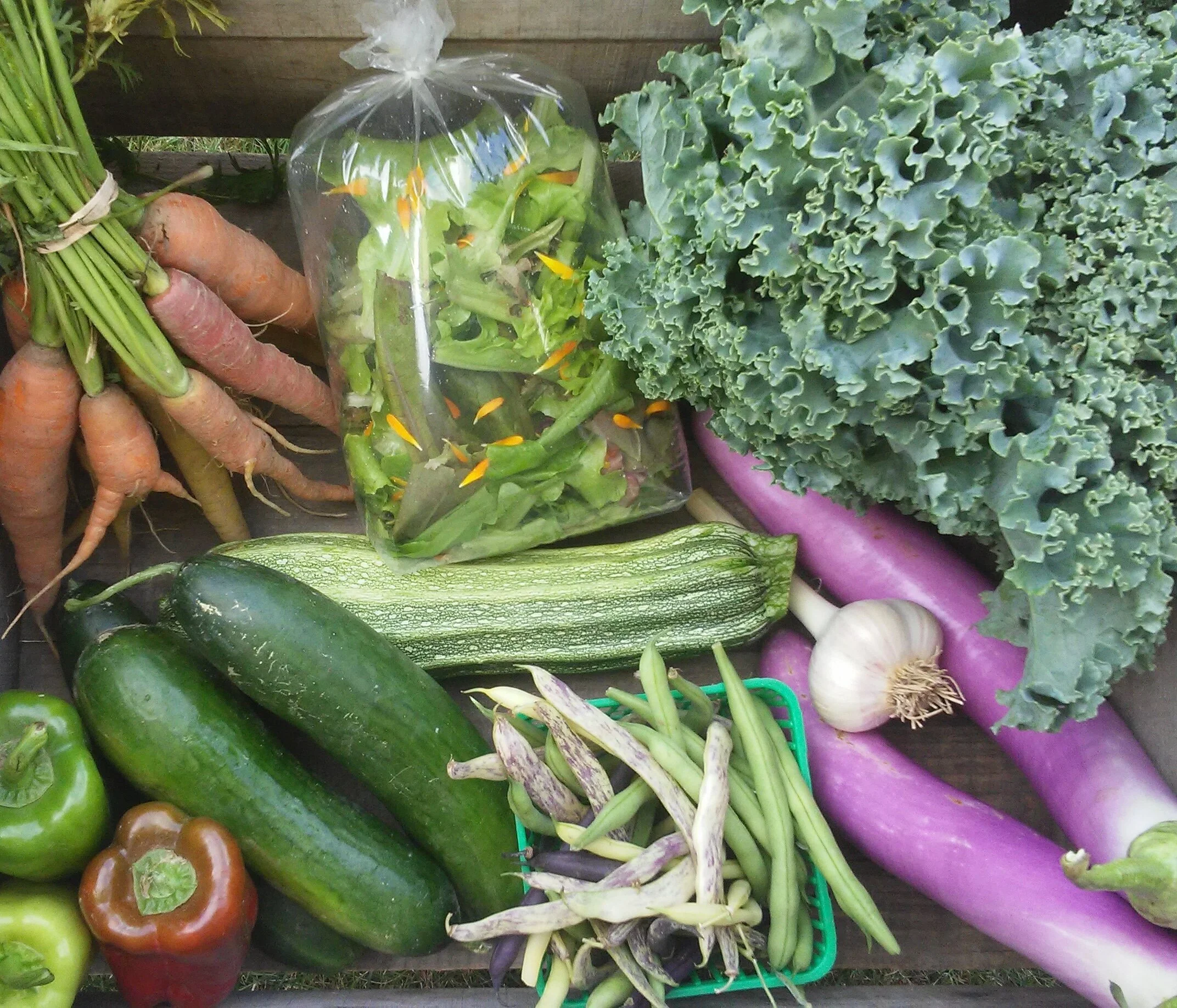 CSA farm share