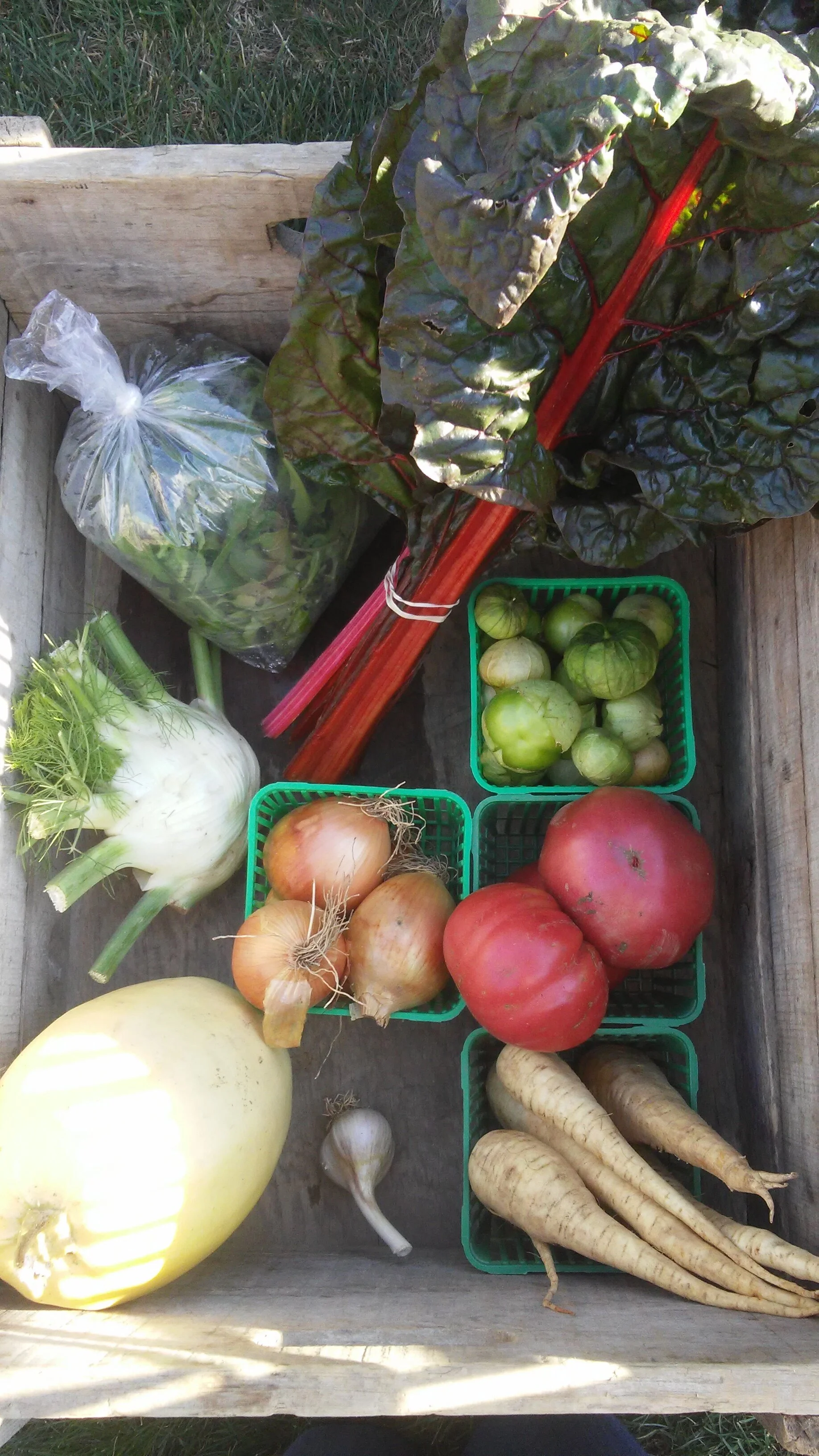 CSA farm share