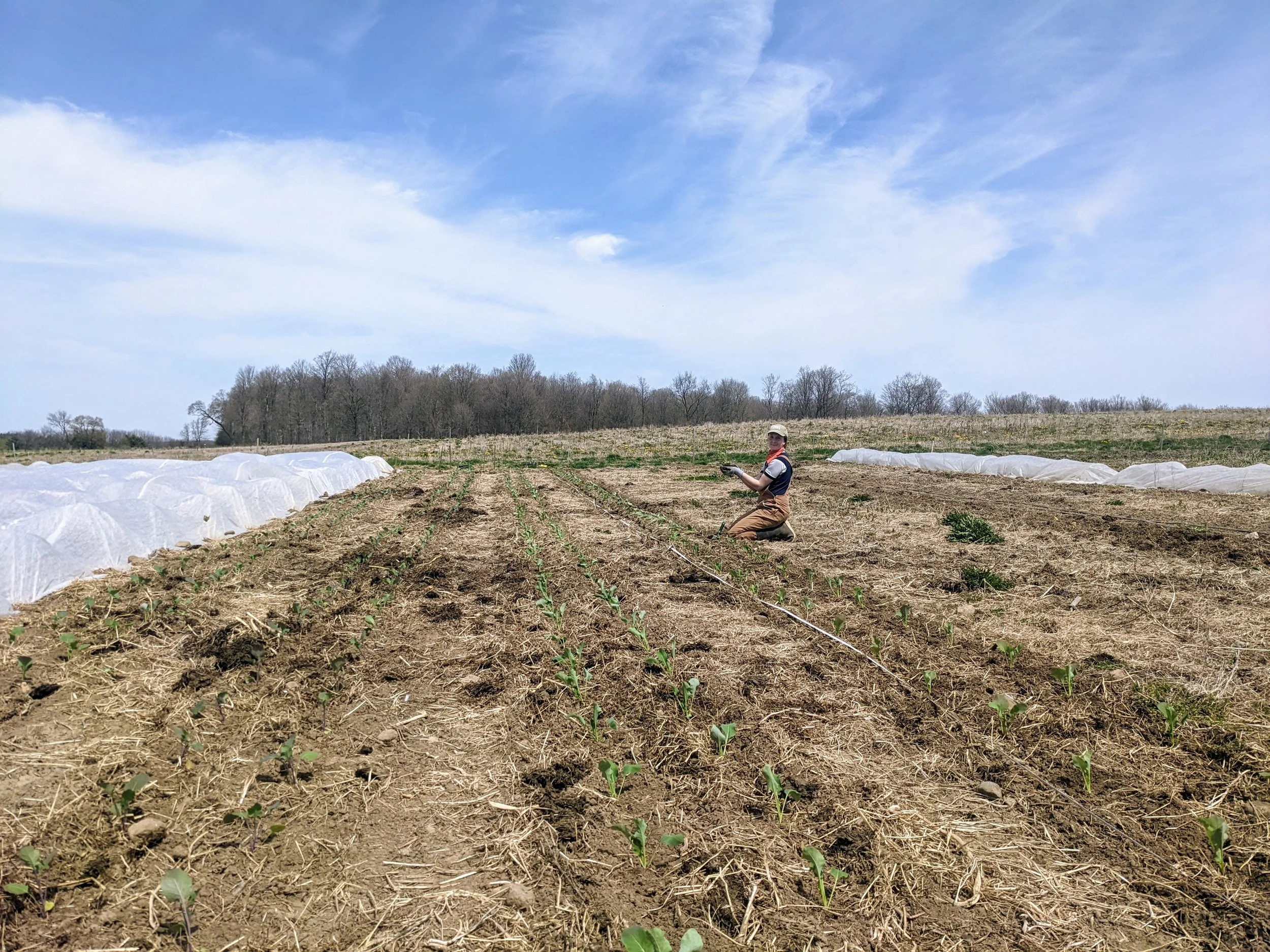 PHOTOS 2022 — Little Fields Farm