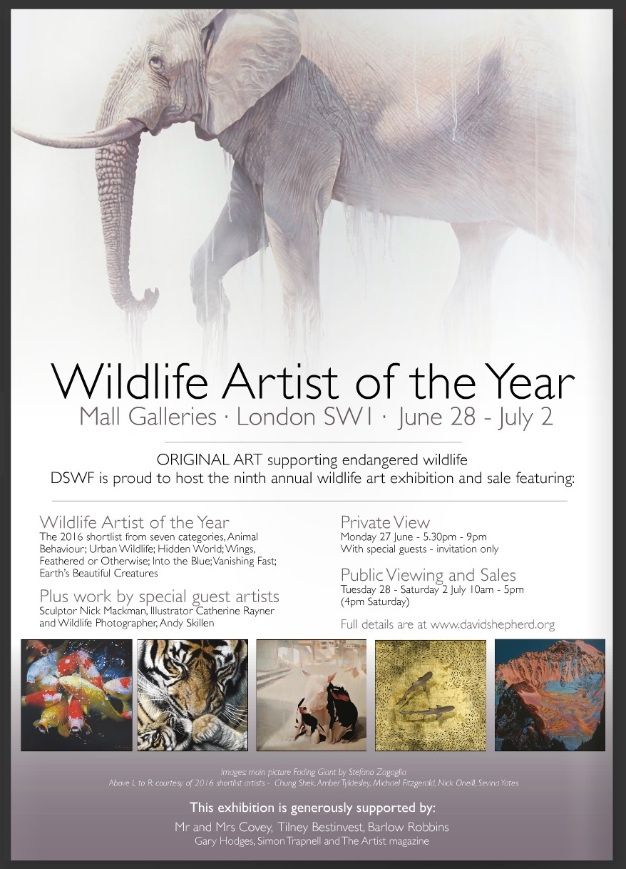 MICHAEL FITZGERALD SHORTLISTED FOR WILDLIFE ARTIST OF THE YEAR 2016 (Shortlisted Bull painting centre thumbnail) oil on canvas 100 x 100cm SOLD