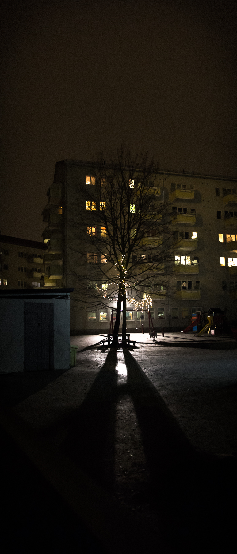 DailyLife_Feb09-004.jpg