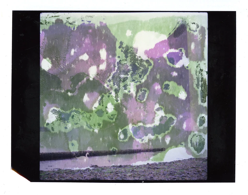 Polaroids 028.jpg