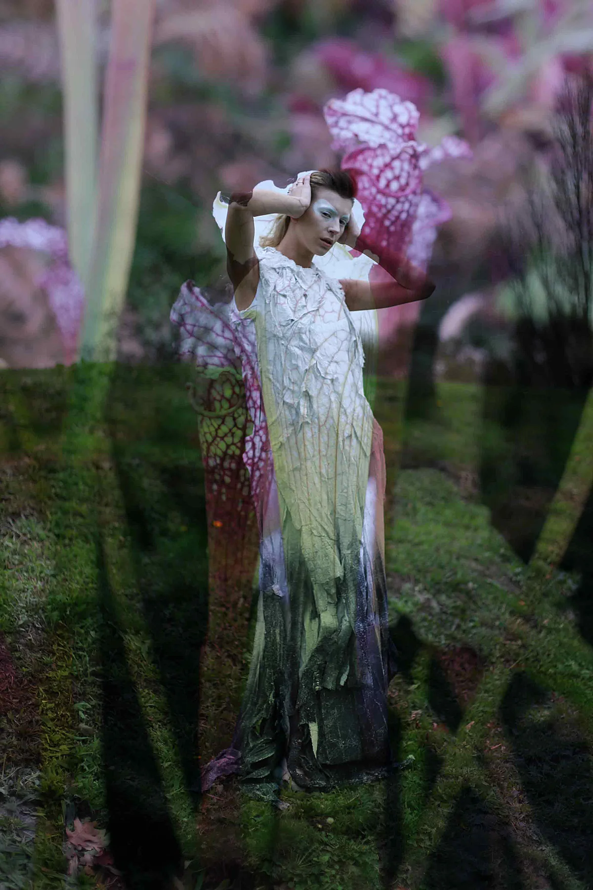 Florabotanica333.jpg