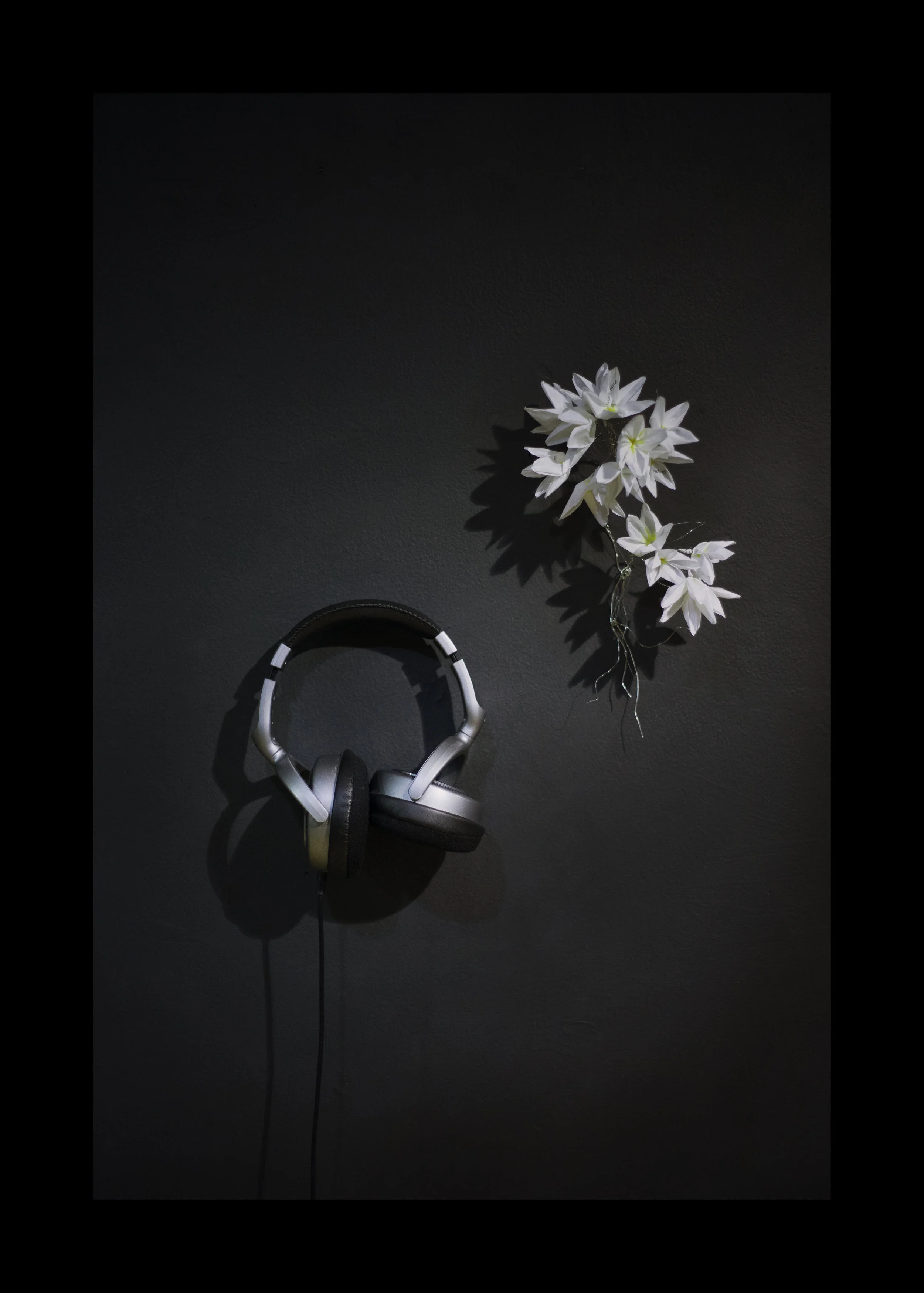 83555-Photo by Magdalene Wandrlust.jpg