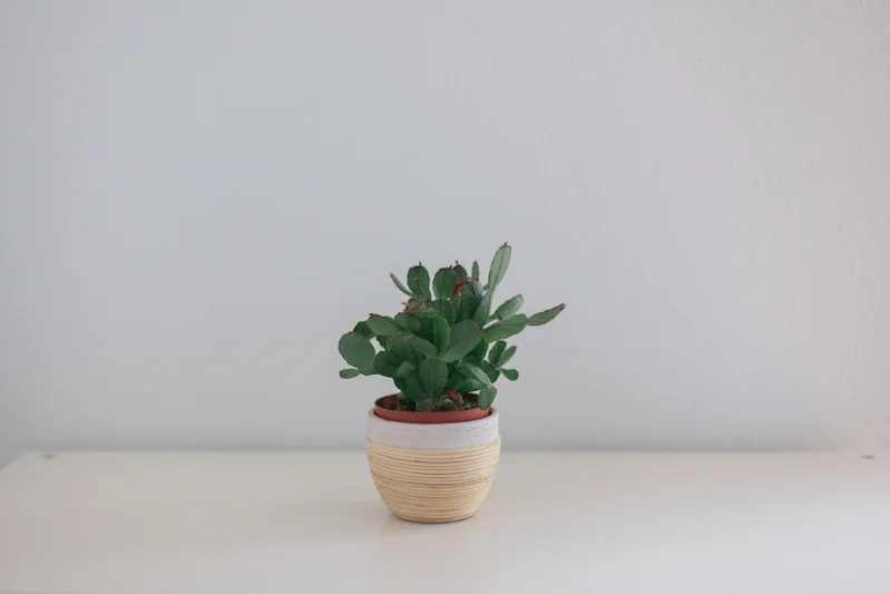 Compromiso con el planeta