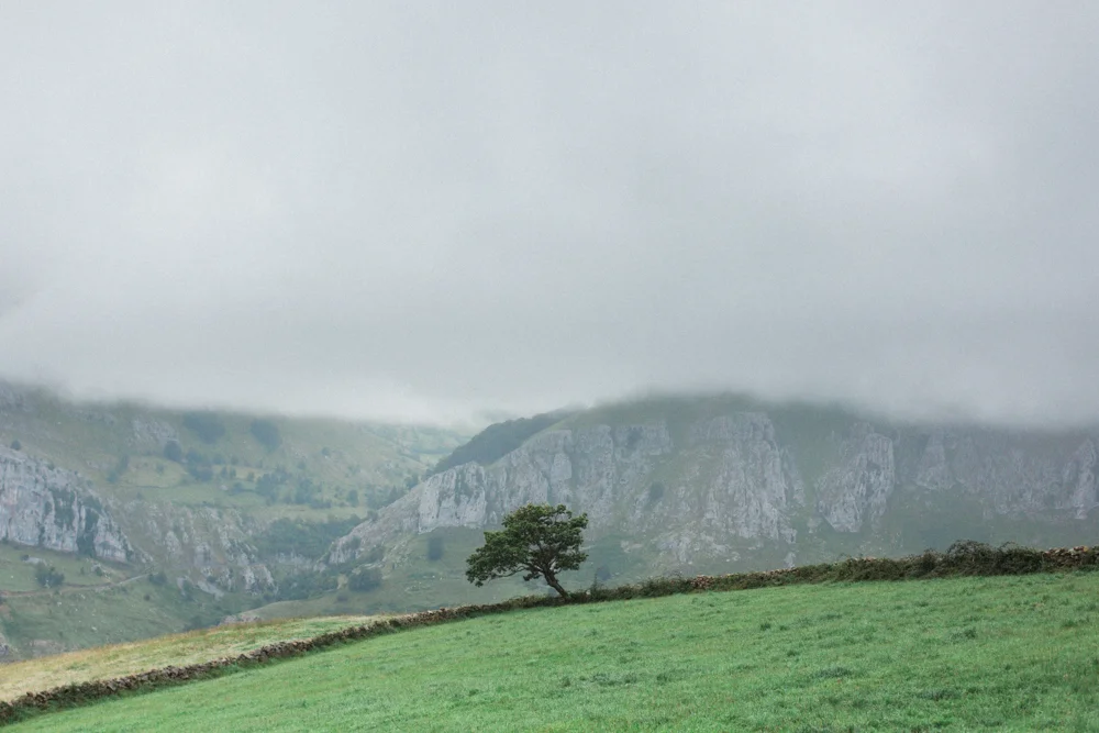 Dias de descanso a mitad de temporada