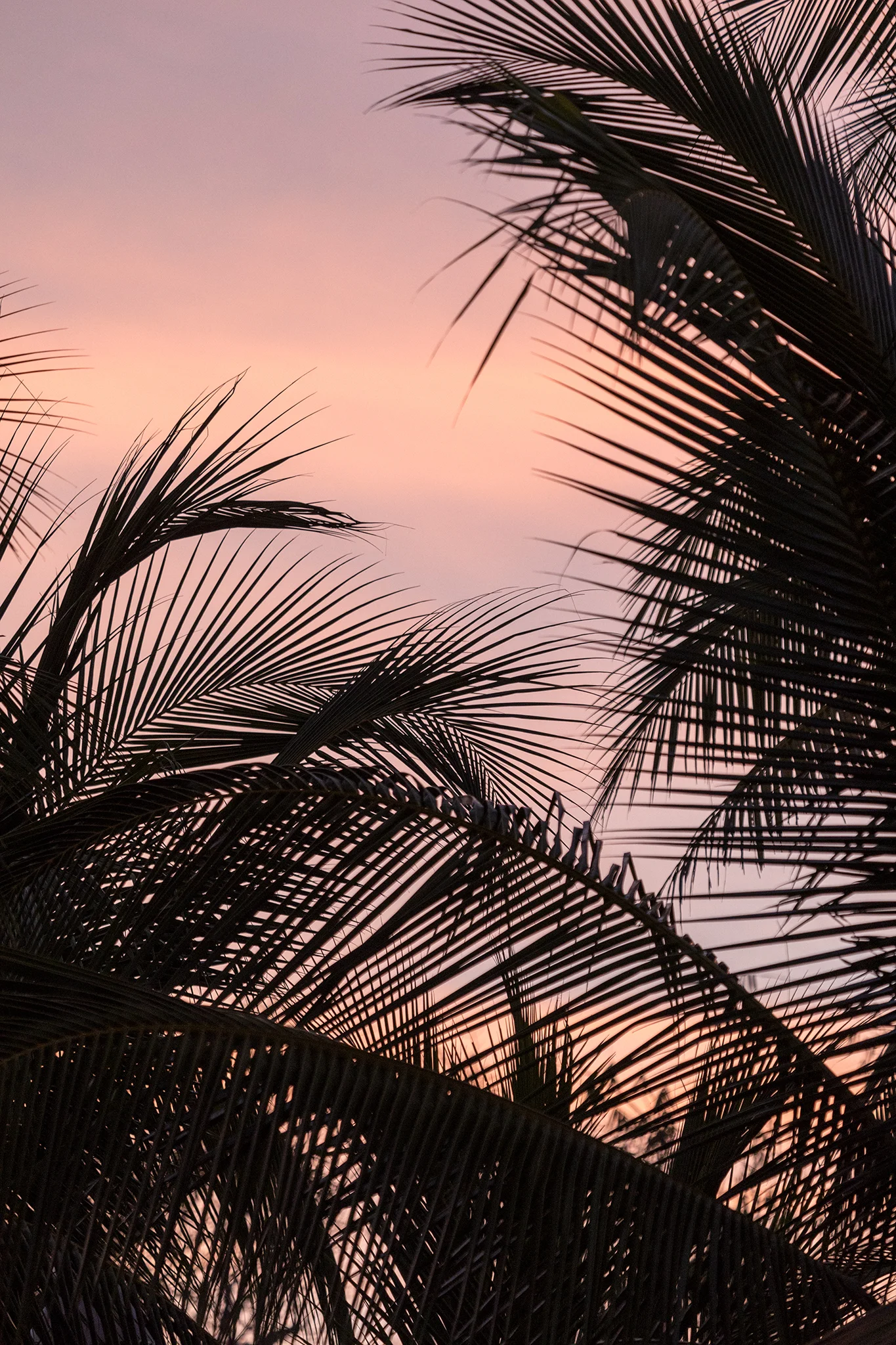 180312_FREDRIK SKOGKVIST_FILIPPA K_COSTA RICA_W9A4057-1.jpg