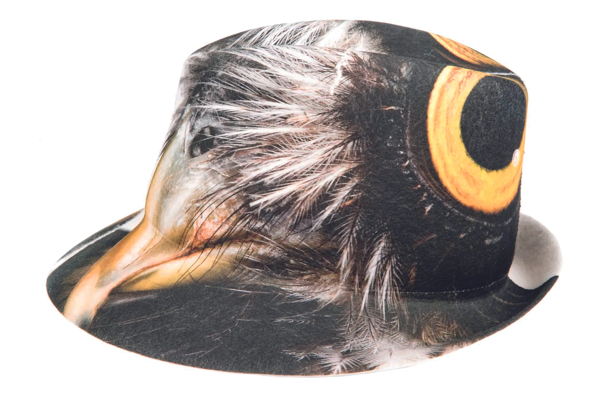 Printed Felt Hat "Birdman/Birdwoman" (2010)