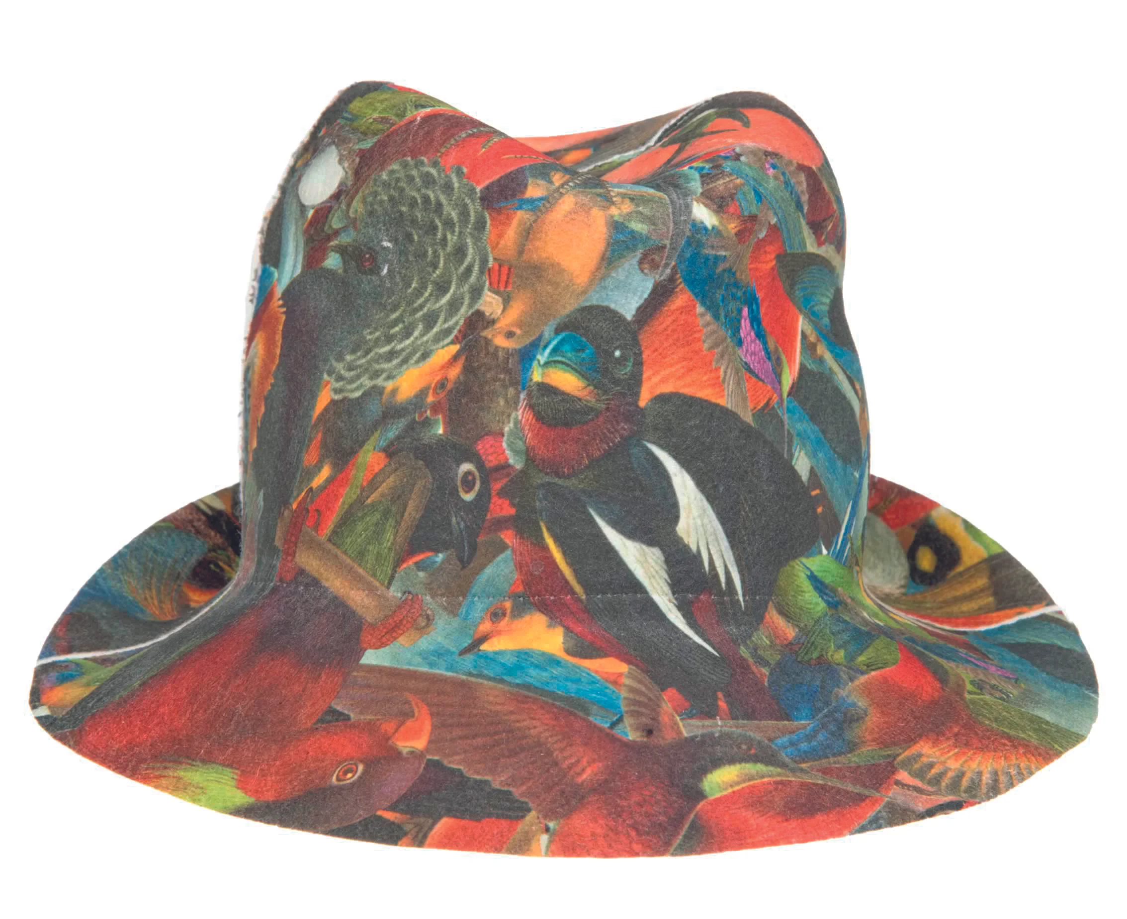 Printed Felt Hat "Birdman/Birdwoman" (2010)
