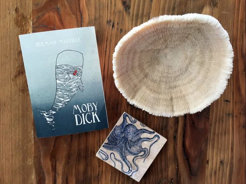 Moby Dick Book Cover, Kingfisher Press