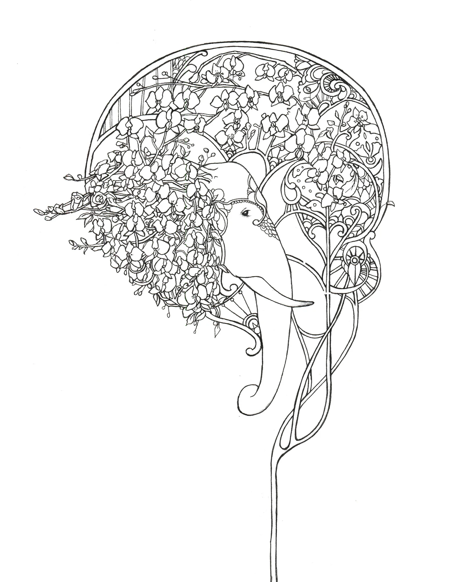 elephant profile new web.jpg