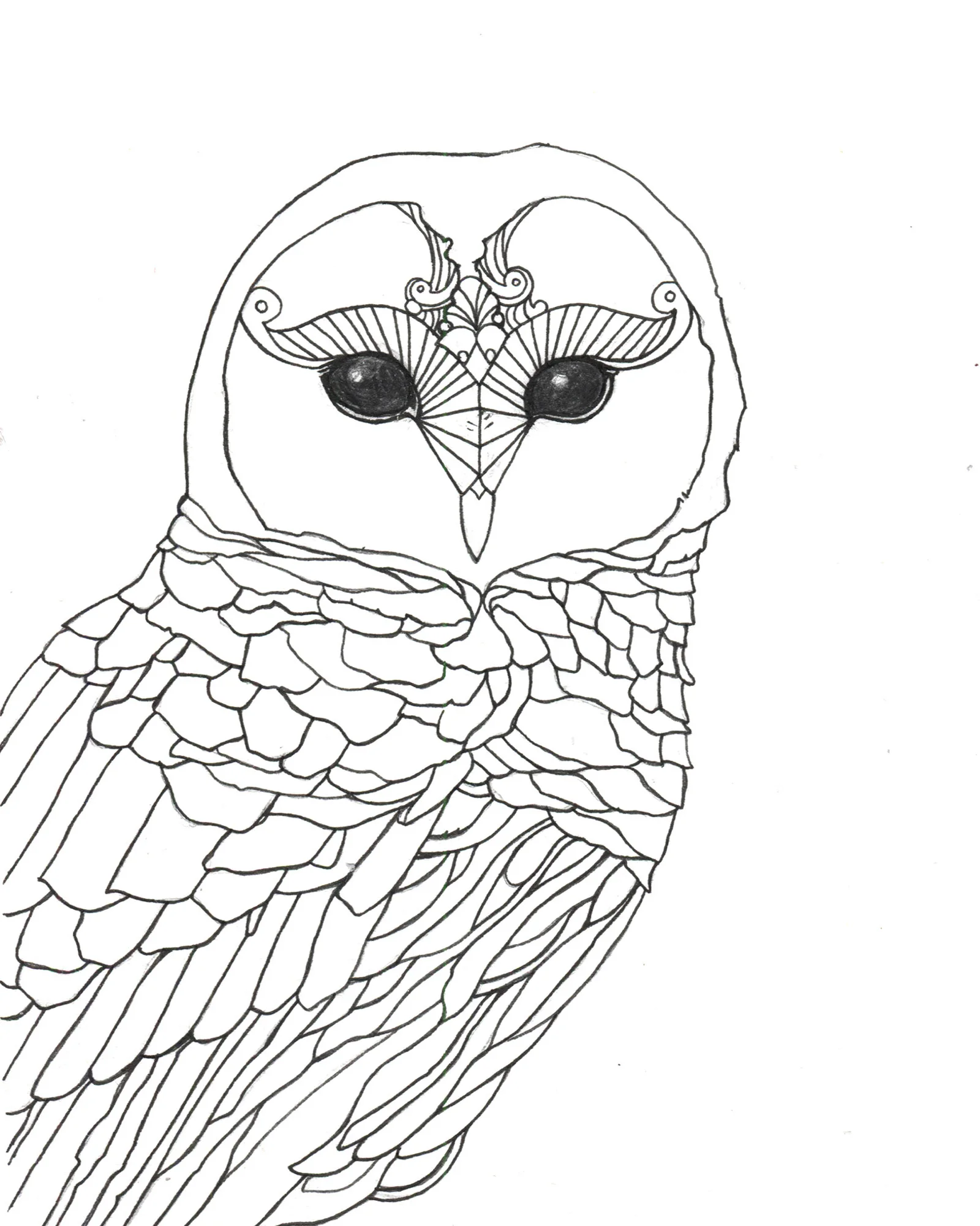 Owl Coloring Book Web.jpg
