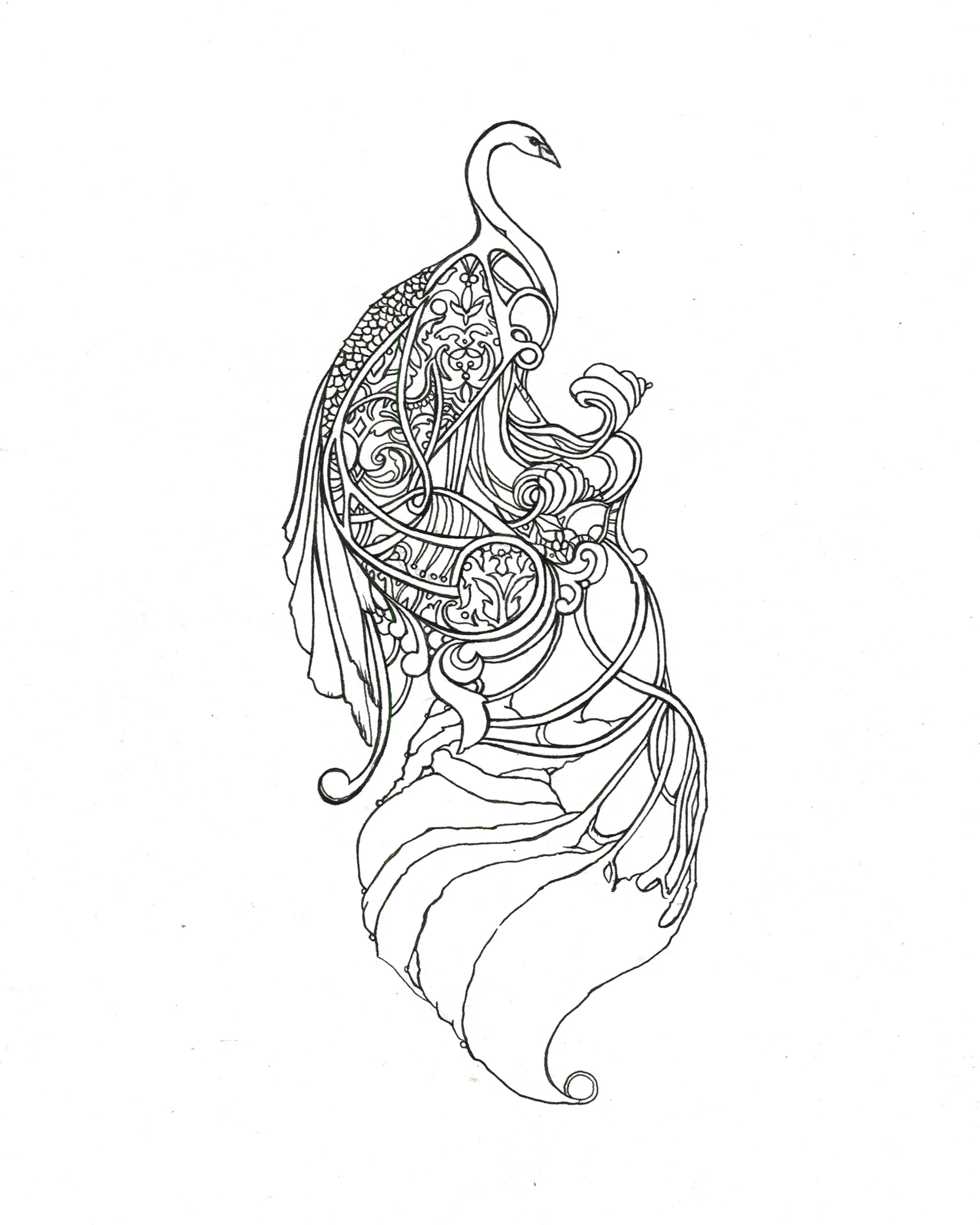 Swan Coloring Book Web.jpg