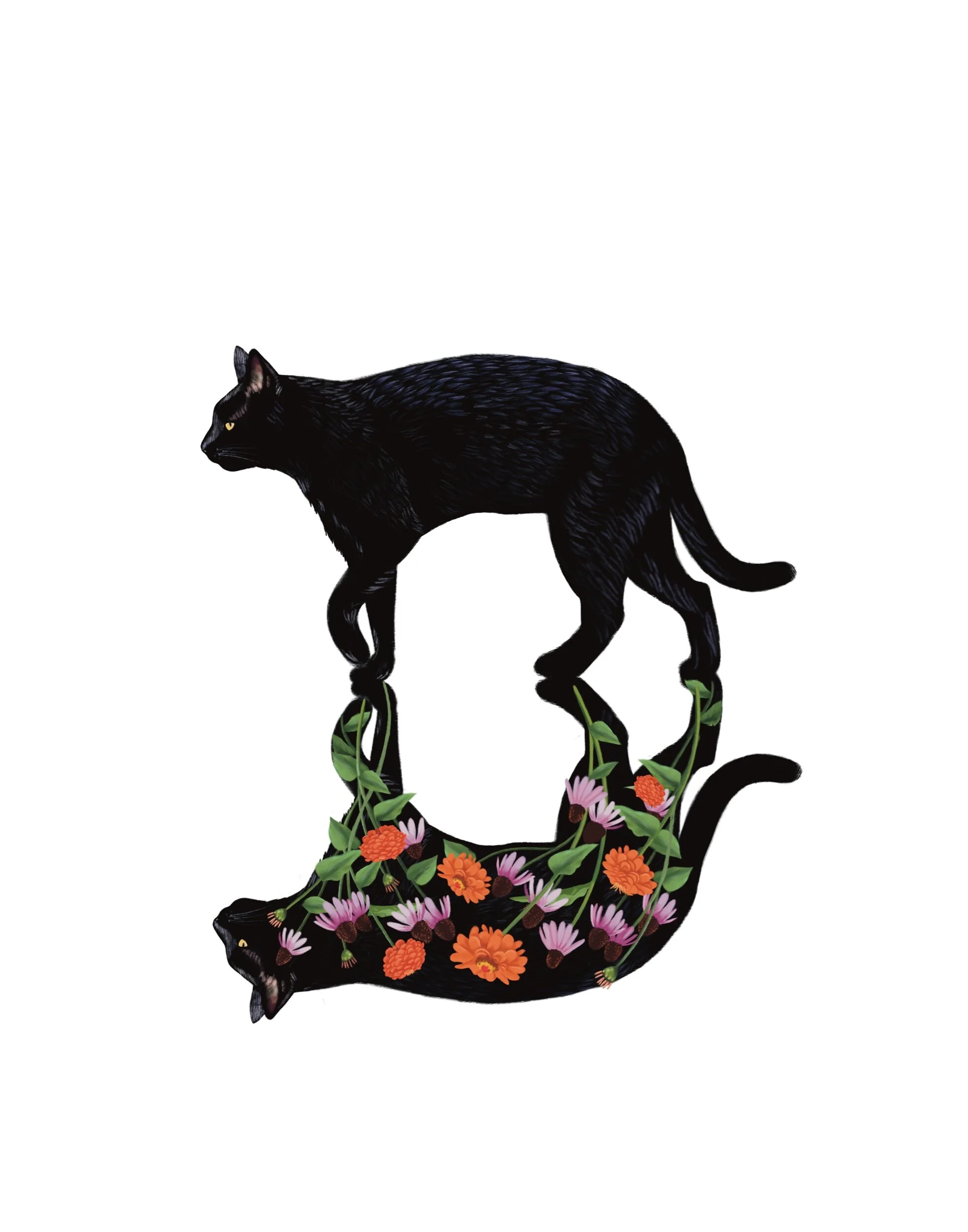 5E7E4095-7D32-4F07-B64B-5F18A4D1F2D9