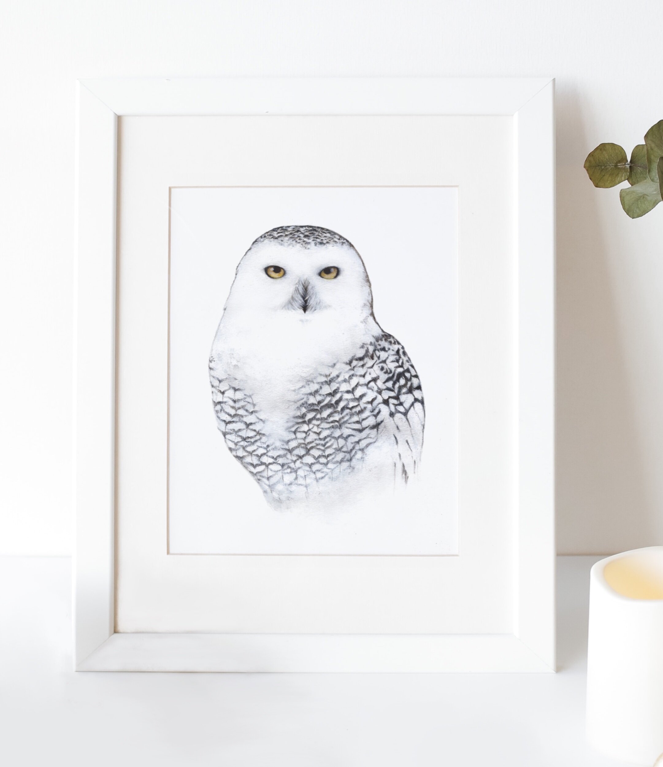 CFB56E0E-C09E-4AED-BBAE-8B0AA2054BC7