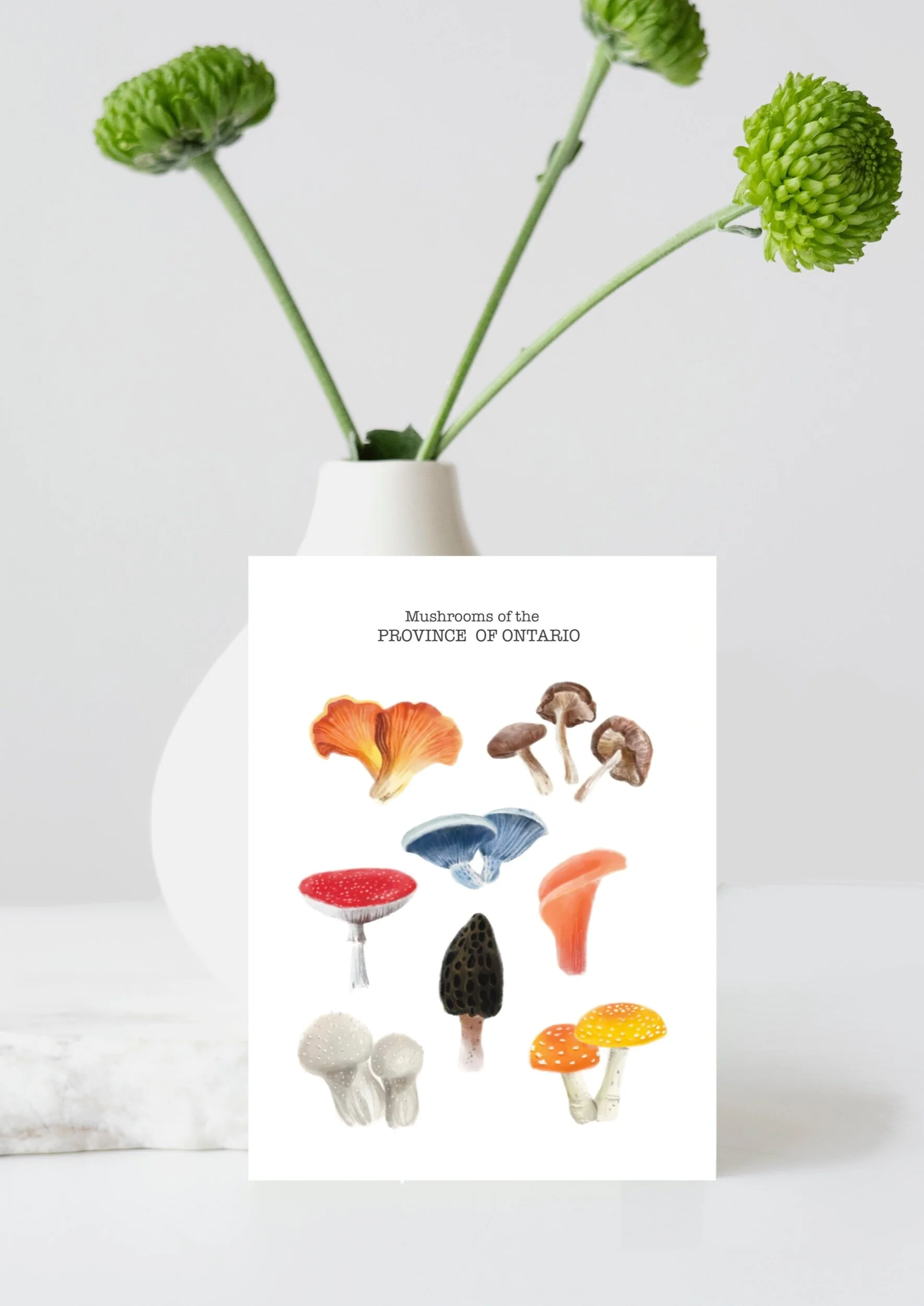 879B8BAD-7666-438C-BF9B-452822DE42AF