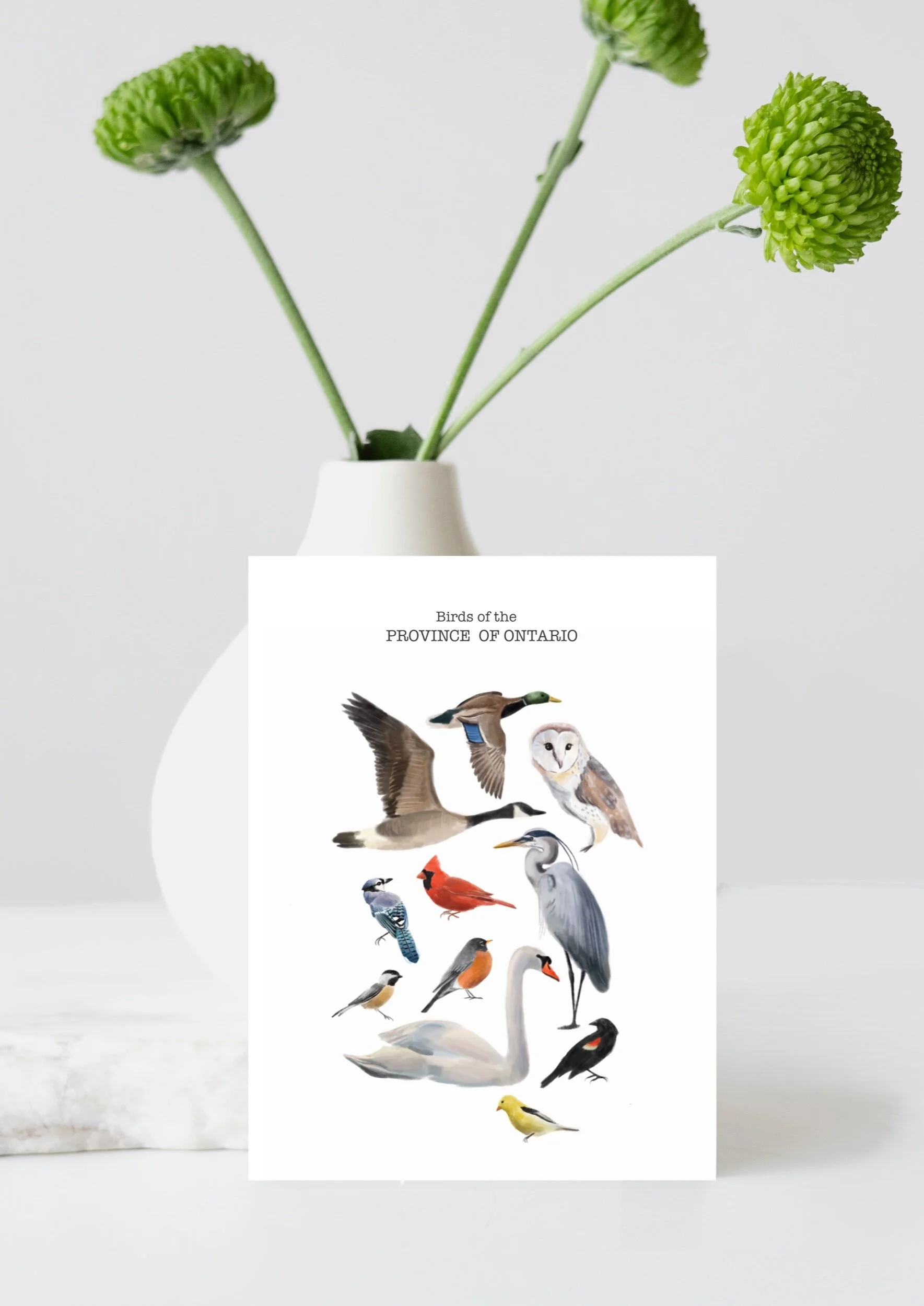 4BD8B568-1547-4C09-92D6-D969C13BABA6