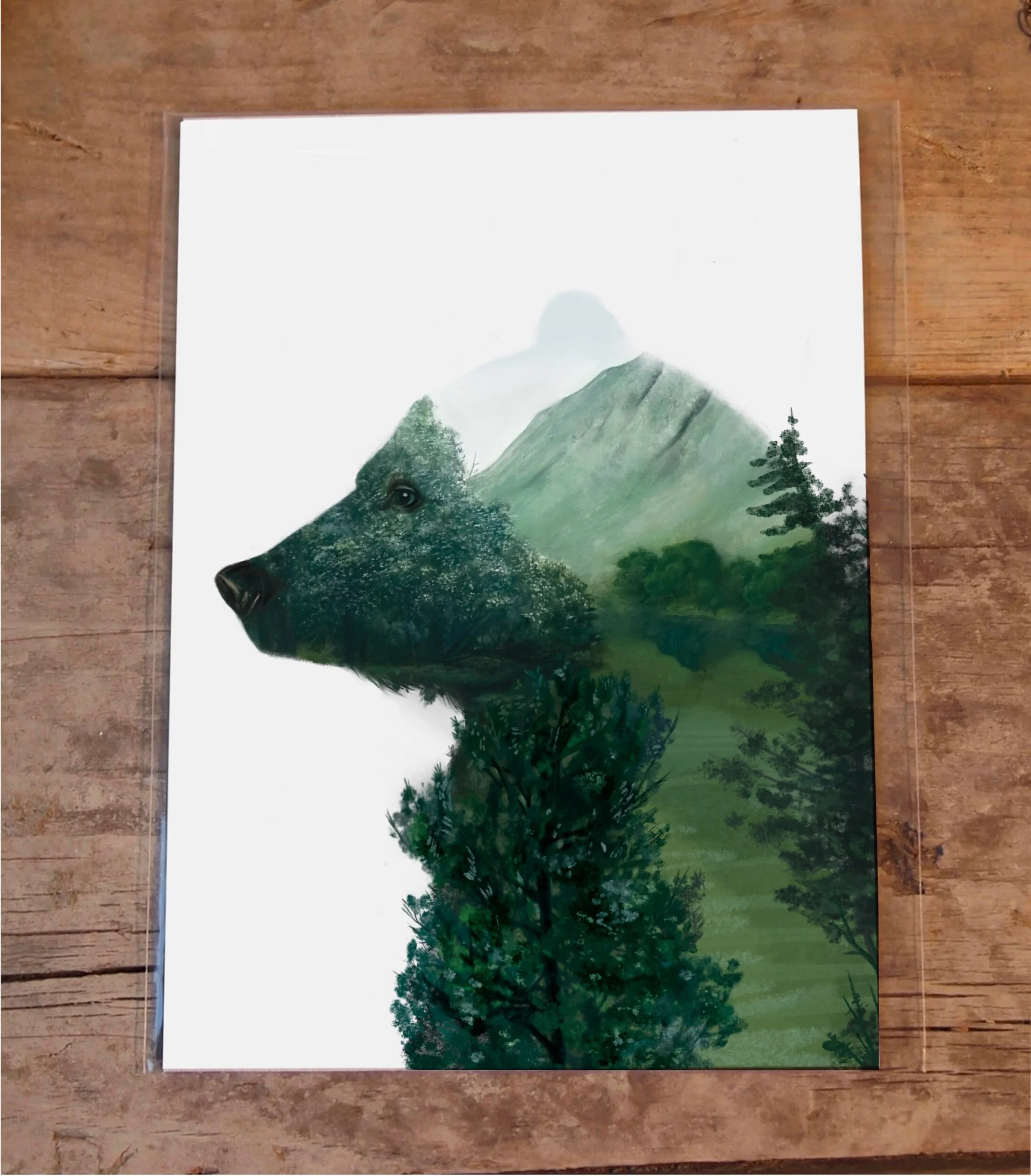 B22ED3A0-B3DA-4267-B5E6-3F5851E60721