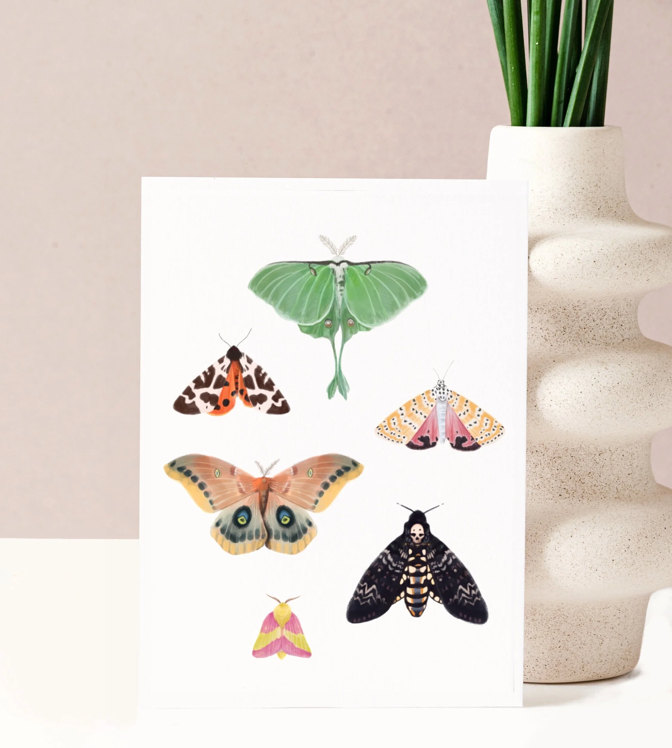 DDD0AE66-E5A4-4805-987B-7B91D9EBD9CC