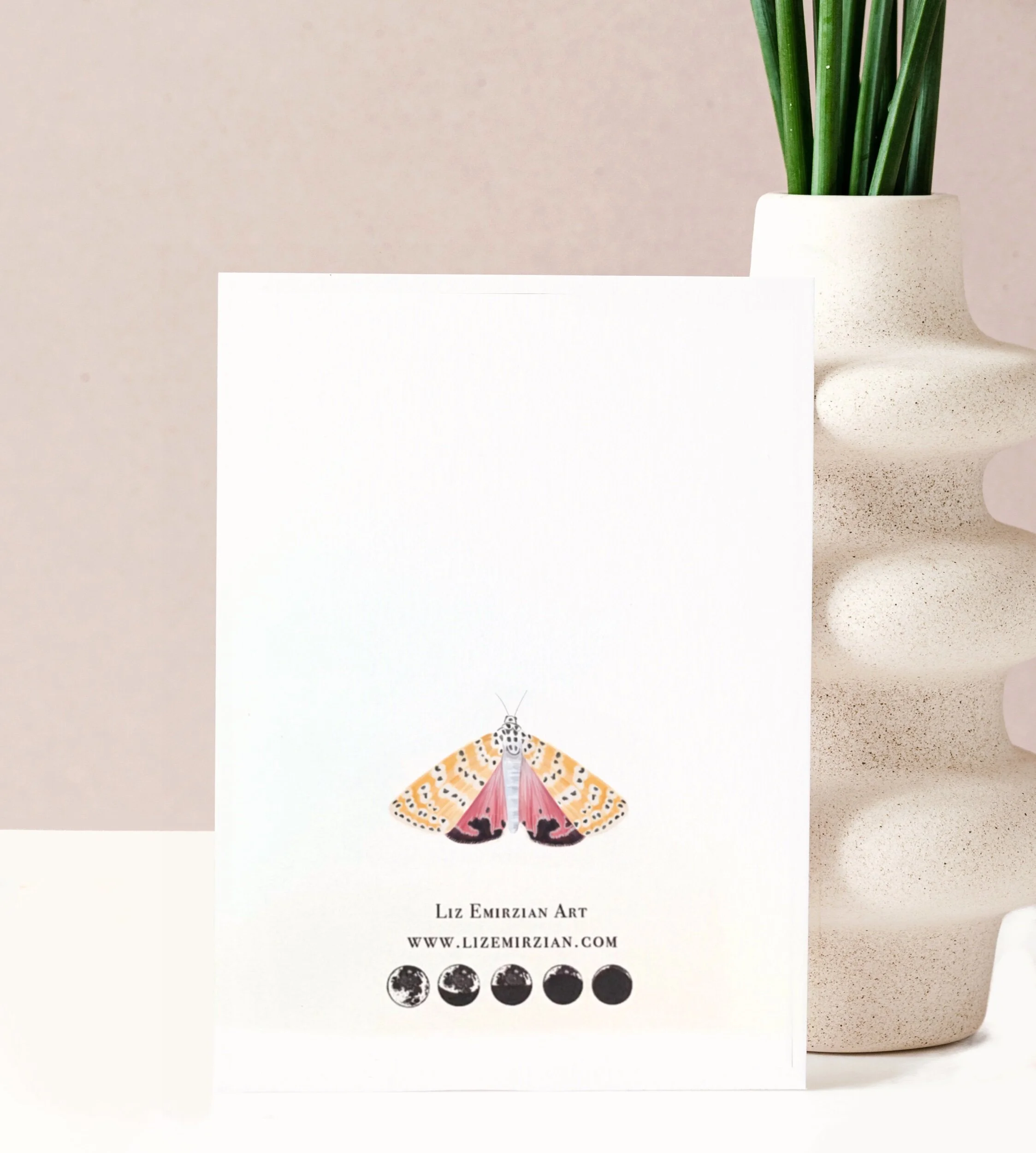 FF805E3F-6046-474B-9BCA-61C70AD91538