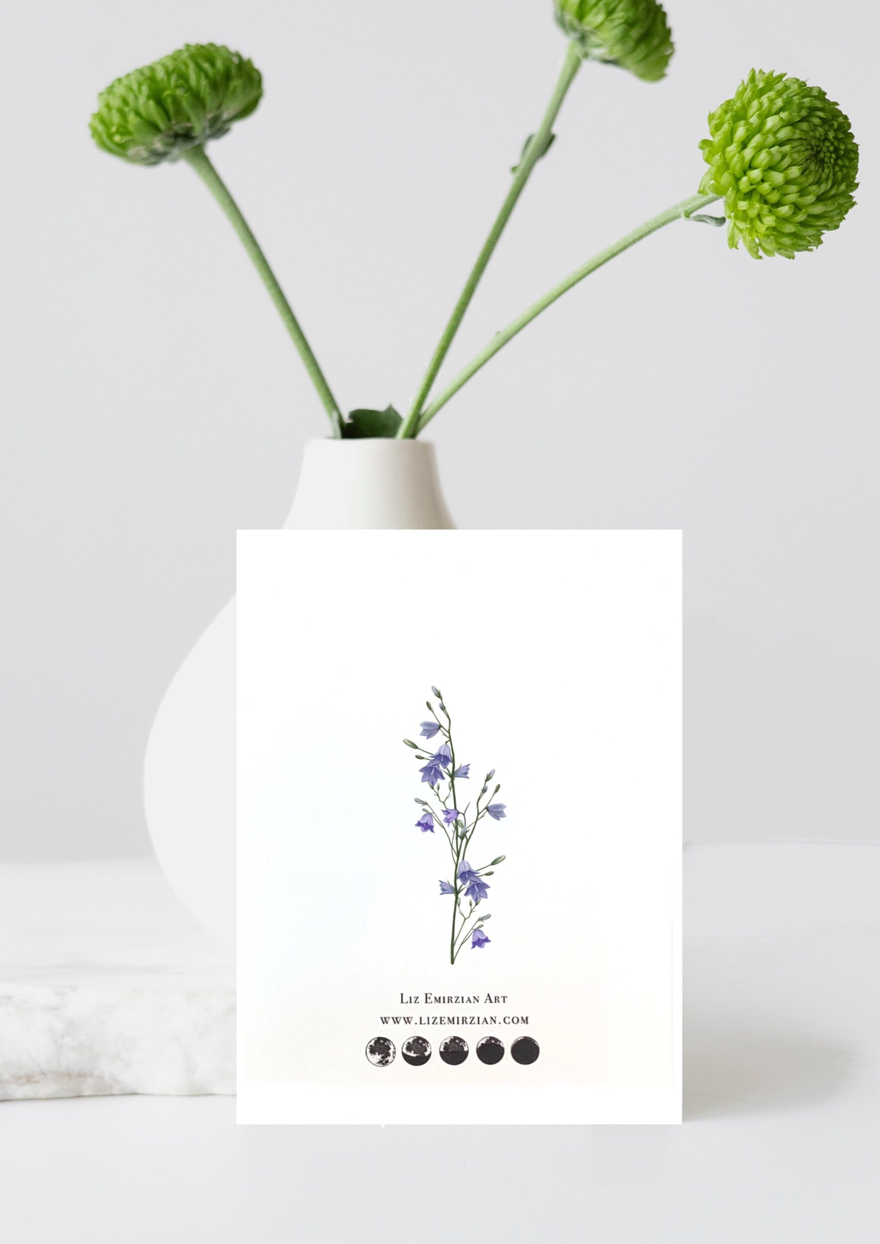 BFBA536E-47D4-4384-81D2-D67BACD5908F