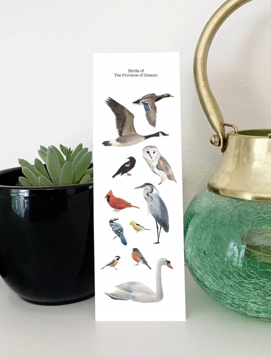 EFF9F49B-980C-46B4-93DB-4BA7D4D05A6F