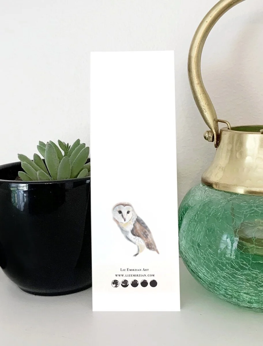 34FA43FF-764F-4268-8241-347298658315