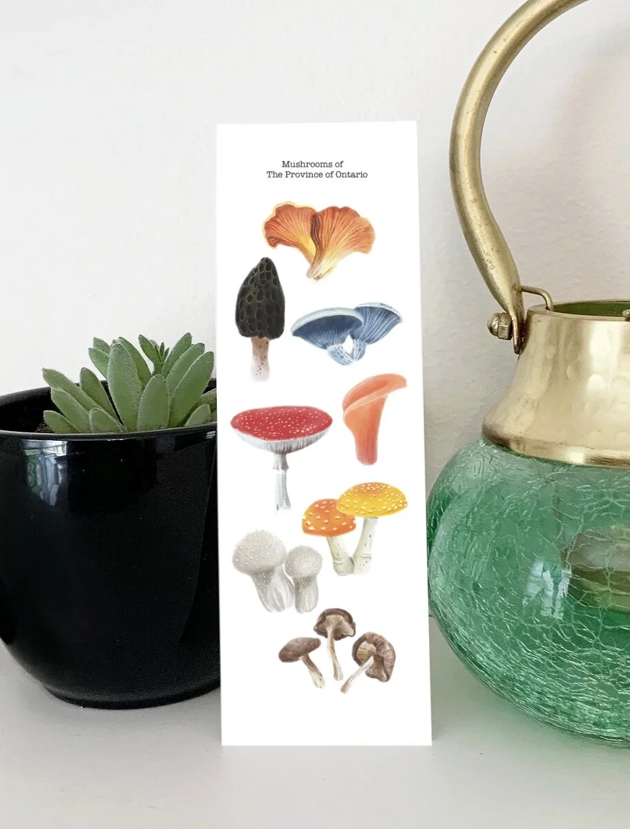 D29718B3-6267-4DB7-A7E6-036EEC2D599C