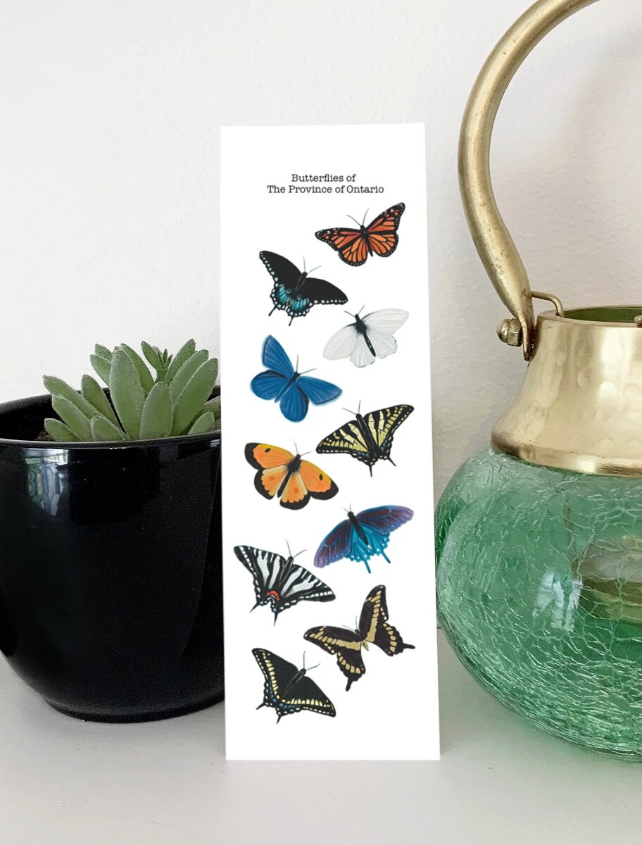 8C6B480C-5581-4513-880F-770DFB9EE8B4