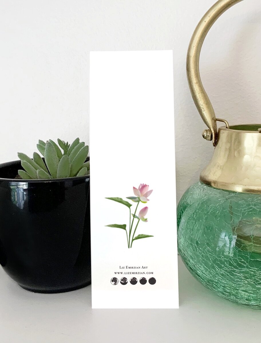 C13E1491-DD46-4431-86D2-EF08D1217075